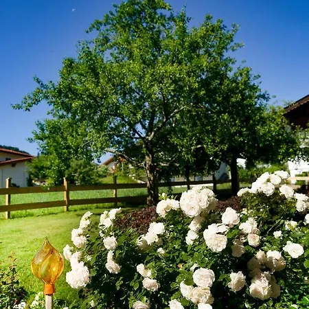 Ferienhotel Elvira 2*