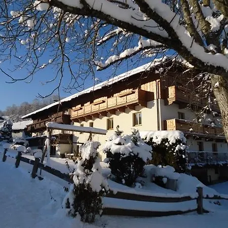 Hotel Elvira 2*