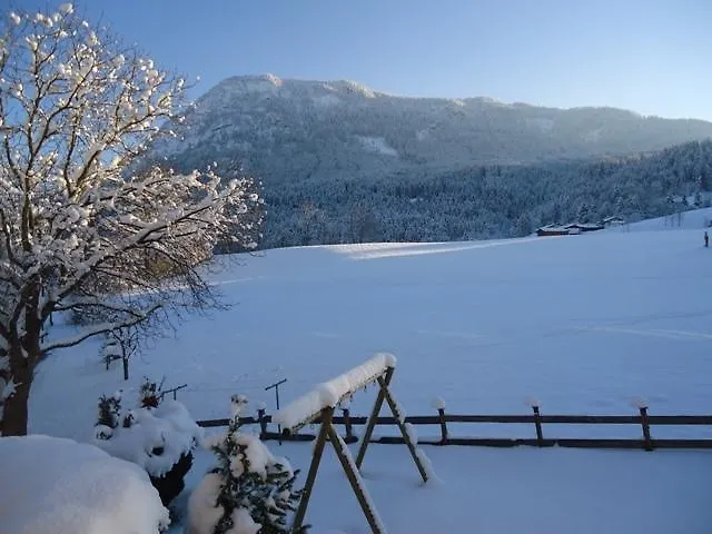 埃尔维拉弗瑞恩 2*